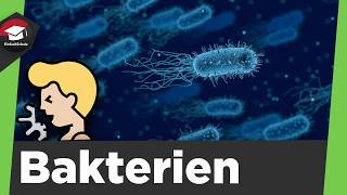 Bakterien einfach erklärt - Aufbau, Vermehrung und Zusammenfassung von Bakterien!