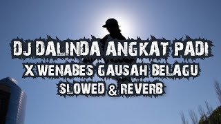 Download lagu DJ DALINDA ANGKAT PADI X WENABES GAUSAH BELAGU SLOWED & REVERB