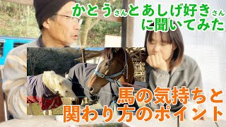 【聞いてみた動画】馬の気持ち・こんな時どうする？・初めて馬と深く関わる時【前編】 by げんき牧場チャンネル 443 views 3 months ago 14 minutes, 31 seconds