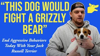 Are Jack Russell Terriers Aggressive? End Aggressive Behaviors Today With Your Jack Russell Terrier