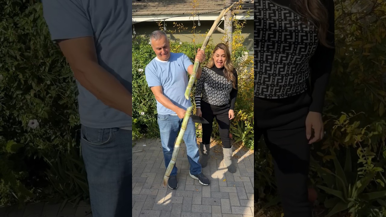 Sugar Cane | Caña con limón y chile