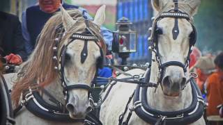 THE IBERIAN HORSES TV SERIES • FEIRA NACIONAL DO CAVALO