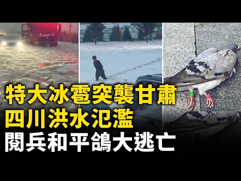 特大冰雹突襲甘肅 深及膝蓋 場面如同大雪後！四川再降暴雨 