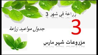 زراعة في شهر مارس