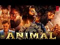 ANIMAL: ABRAR'S ENTRY - JAMALKUDU(Full Video) |Ranbir Kapoor