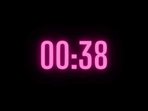 61 Second Timer with Alarm