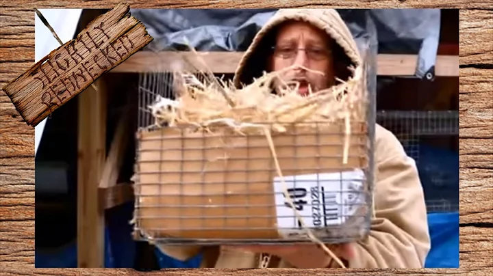 Getting Ready For Baby Rabbits (Hopefully) - The SR Rabbit Update 2-12-18