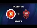 Npl mens nsw round 12 rockdale ilinden fc v wollongong wolves fc