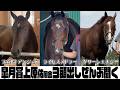 【配信限定】大注目の皐月賞3頭出し上原佑紀厩舎！フォルテアンジェロ＆ライヒスアドラー＆グリーンエナジー！ダイワメジャーのトークも！｜ウイニングTube