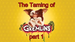 The Taming of Gremlins, part 1