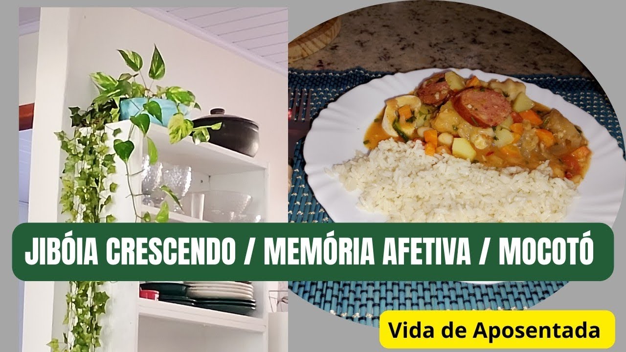 MOCOTÓ MATA VONTADE PARA UMA PESSOA , COMO FAÇO /  JIBÓIA LINDA/ POTES DE VIDRO