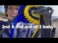 Unaffiliated v British showjumping, Equine Reiki and riding without stirrups!