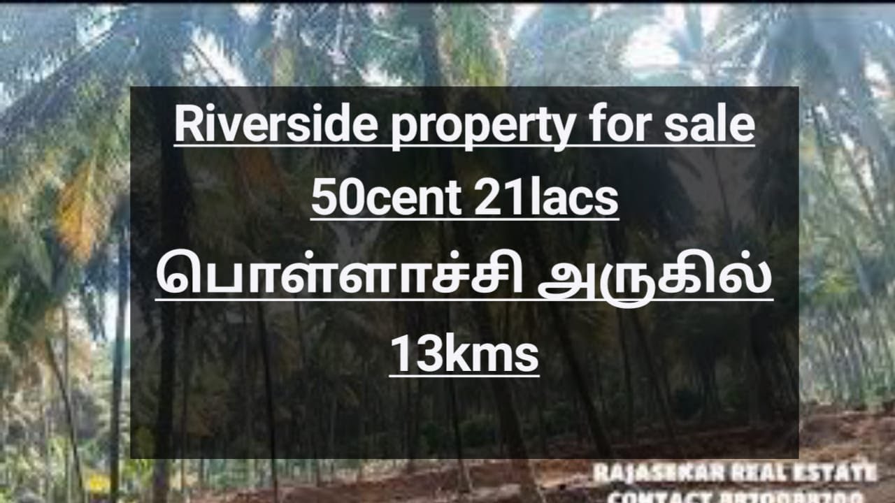 Sold_out 392 50Cent riverside agriculture land with coconut tree
