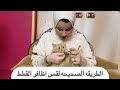 قص اظافر القطط باسهل طريقه حتي لو قطتك شرسه او شقيه 