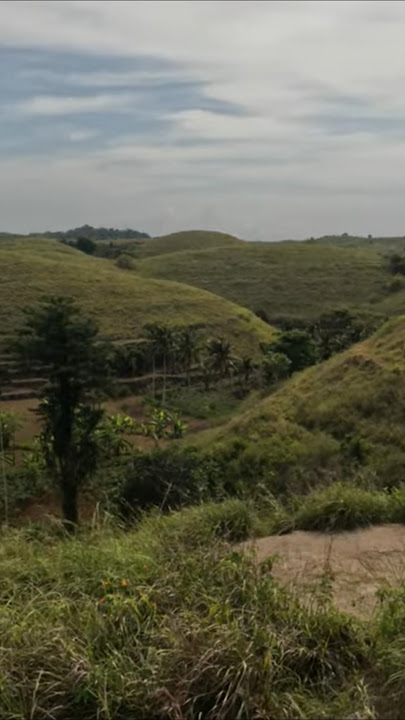 THESE HILLS LOOK FAKE 😂🇮🇩 #bali #ubud #nusapenida #indonesia #beach #sea #nature #home