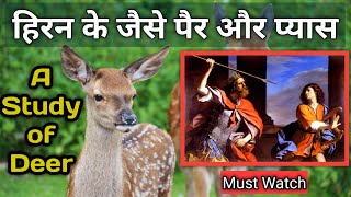 What does Deer represent in the Bible? || A Study of Deer by Sis. Anju Masih || @jevanmaan07
