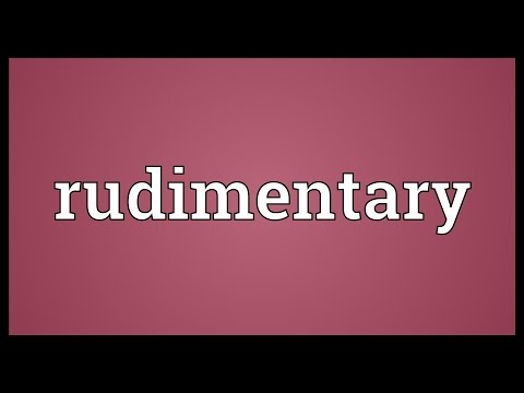 Rudimentary Meaning