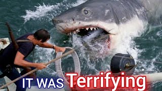 The untold story of Jaws. "Bruce The Shark That Almost Sank Spielberg.