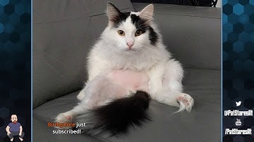 Pat Stares at Dark Souls 3 - Cinders Mod! (Part 5)