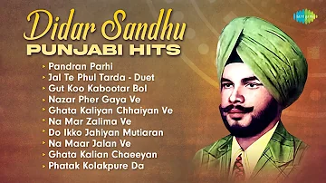 Didar Sandhu Punjabi Hits | Didar Sandhu Special | Punjabi Songs Playlist | New Punjabi Song 2023