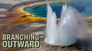 Yellowstone’s Next Chapter: The Surprising Science of Spinoffs