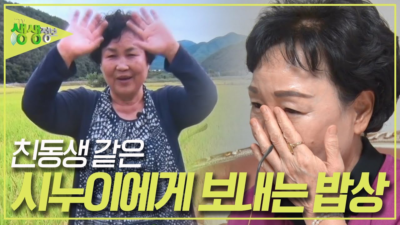 시누이가 있어서 힘든 일도 견딜 수 있었습니다. 친동생 같은 시누이에게 보내는 밥상 [2TV 생생정보] KBS 231010 방송