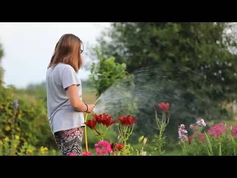 The Best And Beautiful Nature Amazing Nature Relaxed Nature The 4mb Nature Sleeping Music