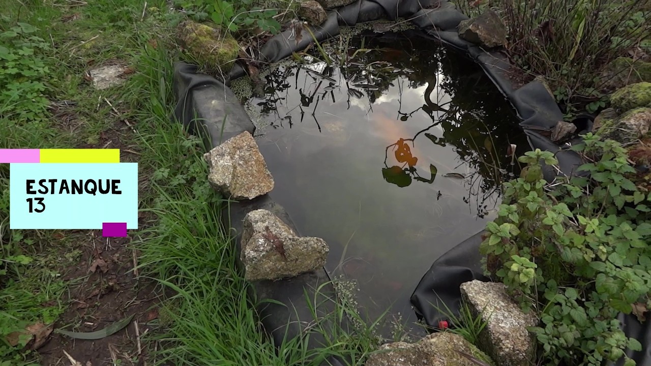 Todos nuestros Estanques uno por uno, Santuario de Fauna, ante la destrucción del curso fluvial
