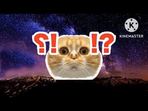 MARAO From The Far East