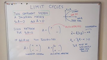 Limit Cycles 02