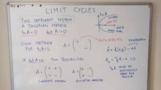 Limit Cycles 02