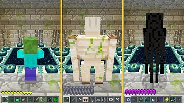 Minecraft - HOW to SPEEDRUN ENDERMEN, VILLAGER GOLEM, ZOMBIE in Minecraft : NOOB vs PRO!