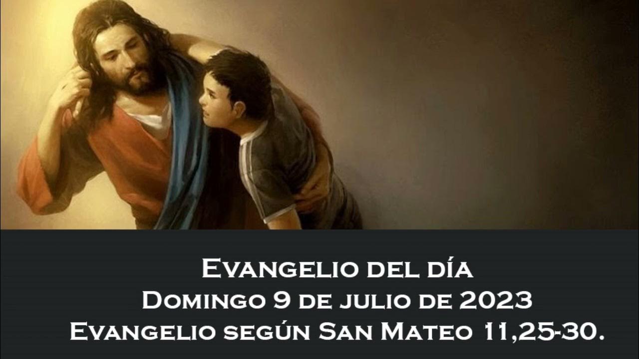 Evangelio del domingo 9 de julio de 2023 YouTube