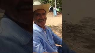 Ñeñe saludando lico de nocoriba