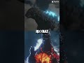 BURING GODZILLA VS GODZILLA REX