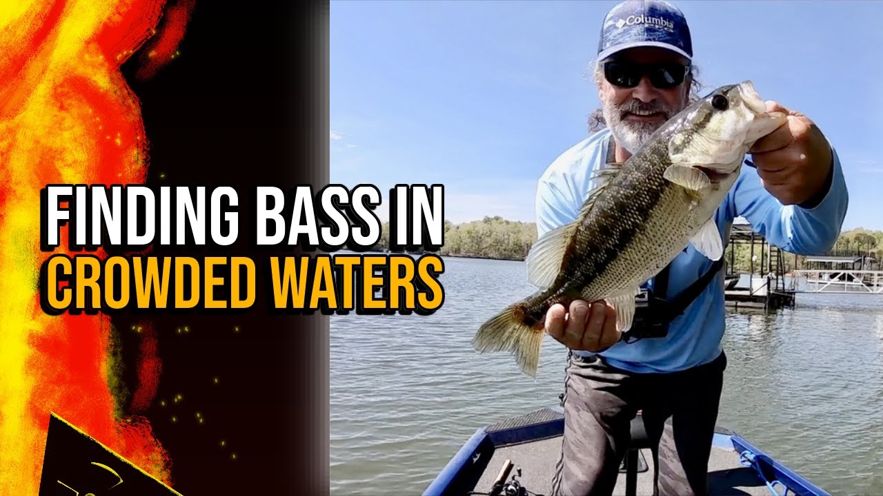 Finding Bass In Crowded Waters #lakelanierfishing2024  #bassfishing