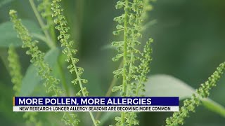 Allergy season is getting longer and more intense