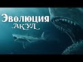 Эволюция акул | Познавательное видео