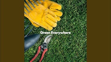 Scintillating Backdrops for Soft Afternoon