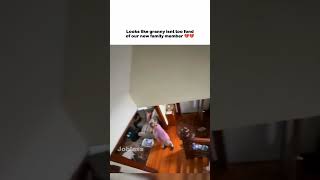 Why is she like this 💔😭