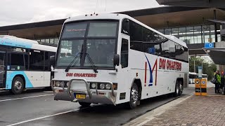 DM Charters TV 7660 - MCA Classic III 13.5m Cummins M11 