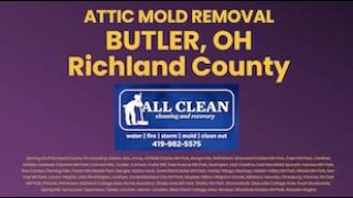 BUTLER OH ATTIC MOLD REMOVAL, RICHLAND COUNTY
