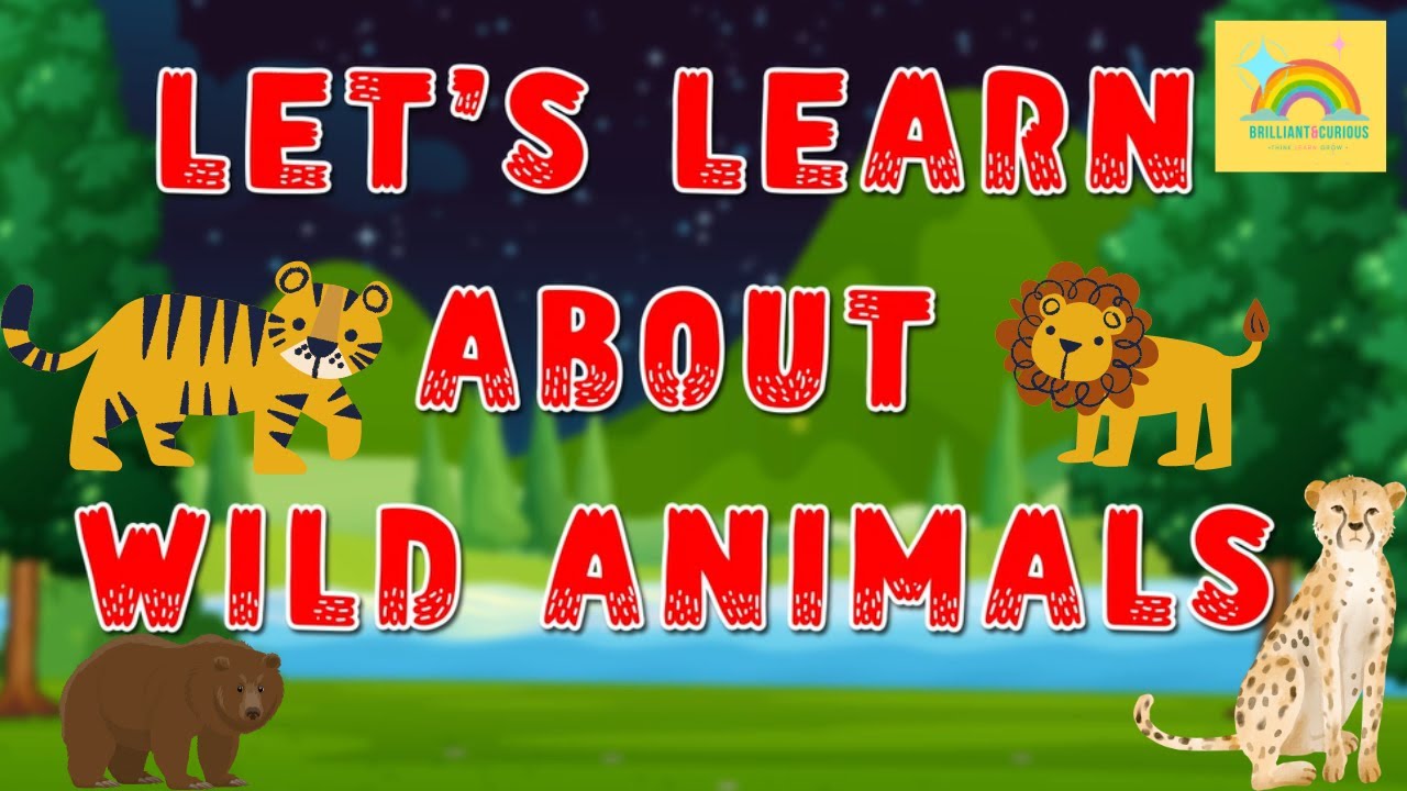 Let's Learn About Wild Animals - YouTube