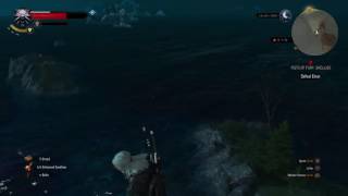 (ps4) witcher 3 - boat bug