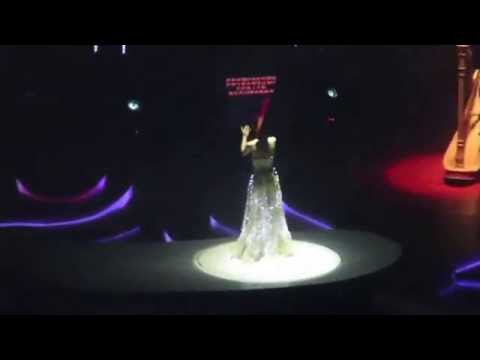 楊千嬅 LET'S BEGIN 世界巡迴演唱會2015 ( 山頂影落去 , 有Ｄ手震 , 別介意 )
