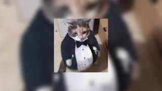 Download Lagu Steal my girl ~ One Direction (Speed Up) MP3