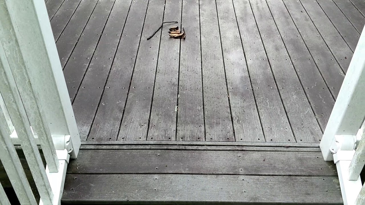 Trex deck cleaning mercer county New Jersey Bearclaw 609-882-1688