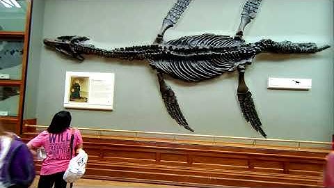 [VR 180] Testing if we can use a VR180 mesh to display equi-rectangular 180 degree 3D images.