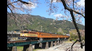 大井川鐡道 サクラ臨時列車 2019年44月