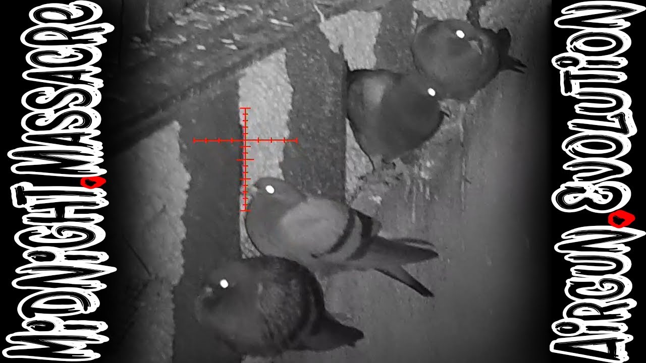 Unbelievable Night Vision Hunt ATN 4K + Benjamin Marauder Pistol